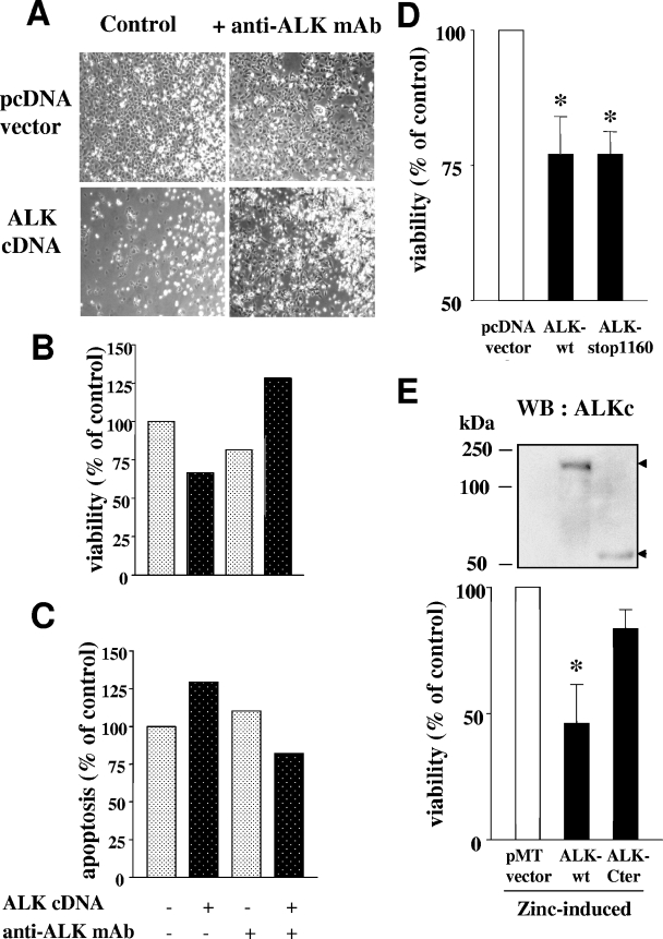 FIG. 9.