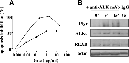 FIG. 8.