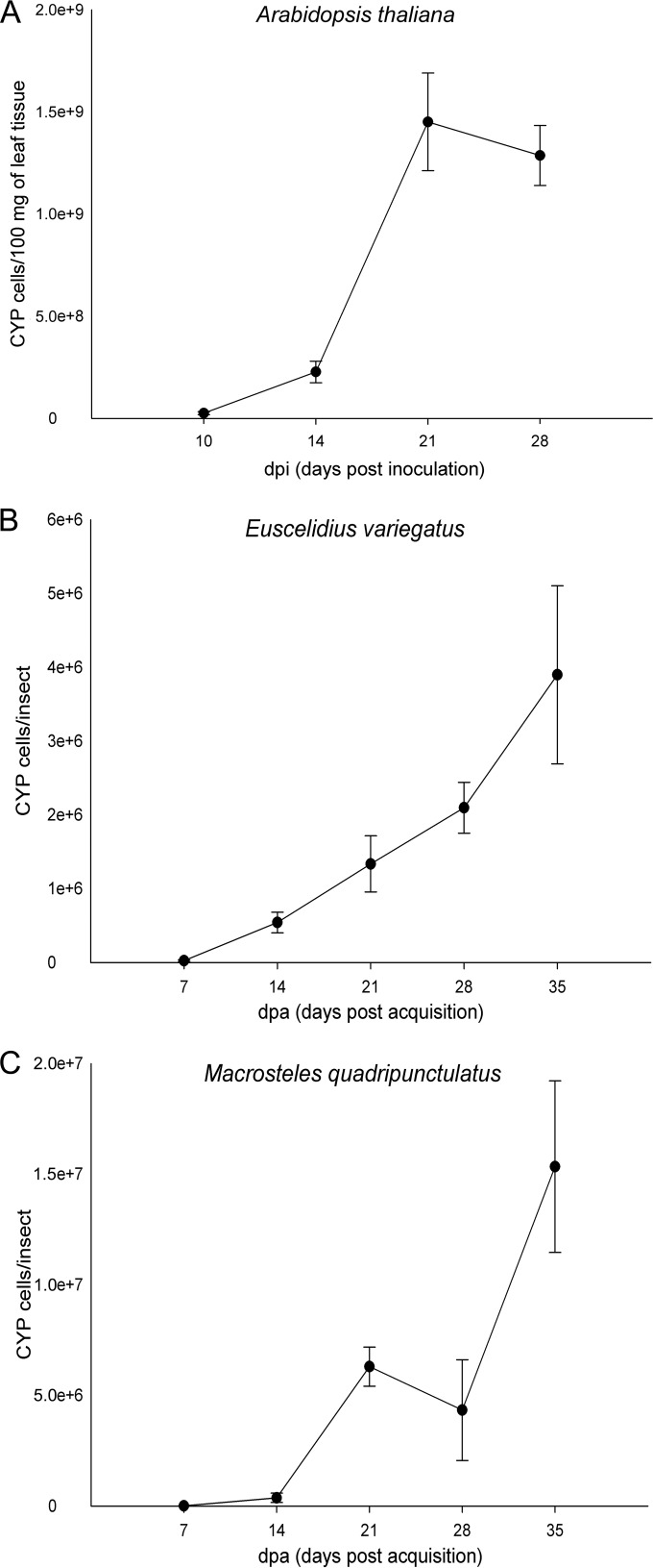 FIG 1