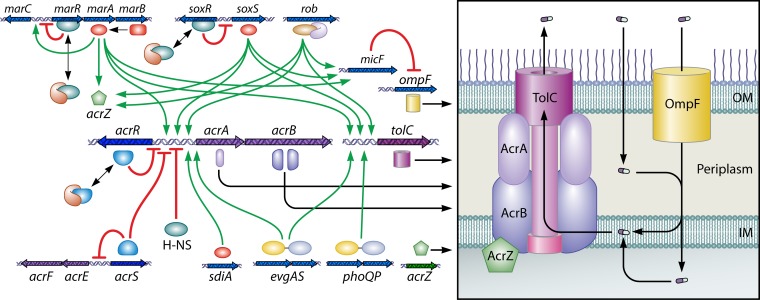 FIG 4