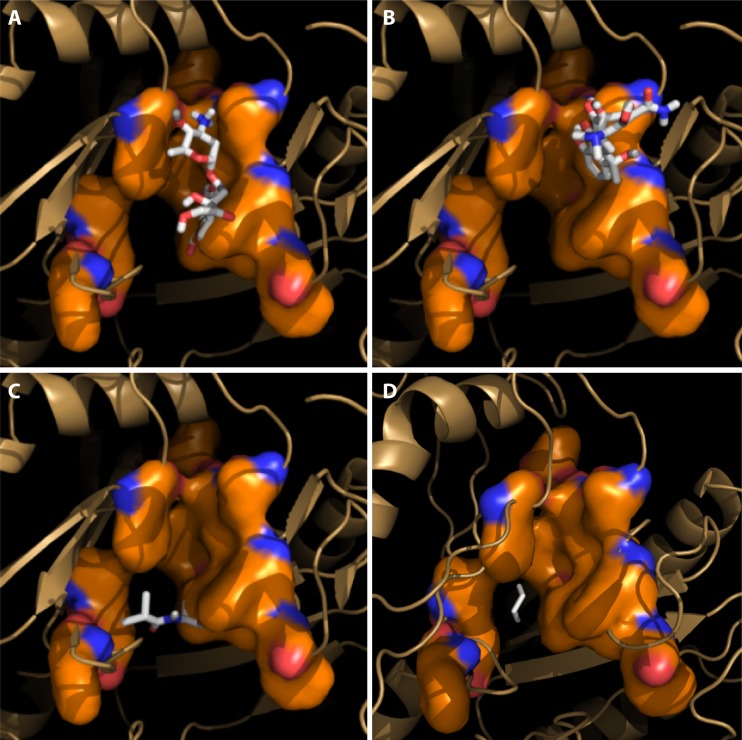 FIG 3