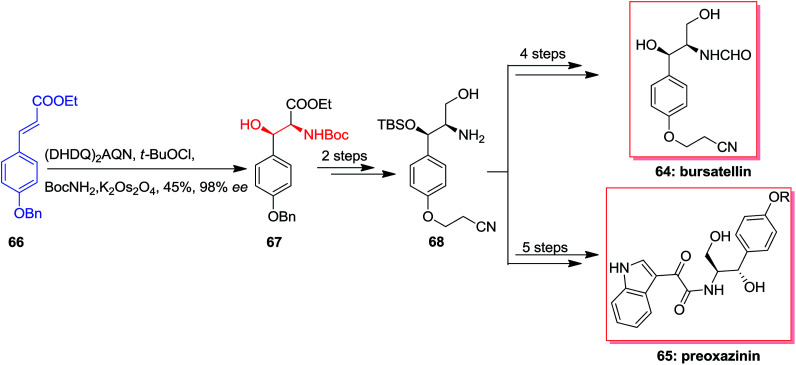 Scheme 15