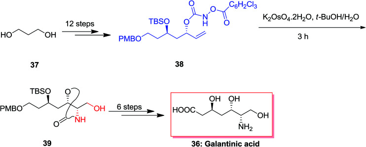 Scheme 9