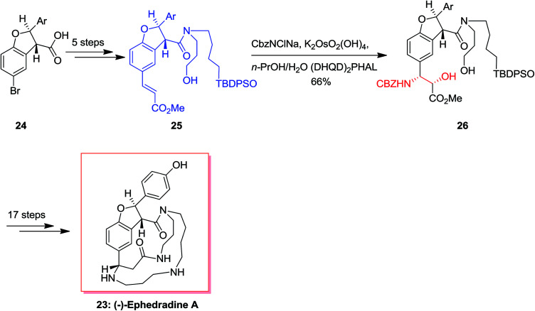 Scheme 6