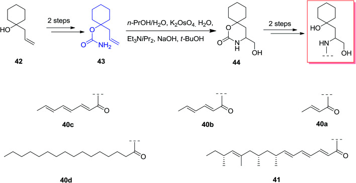 Scheme 10