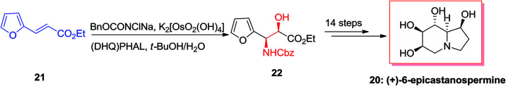 Scheme 5