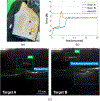 Fig. 8.