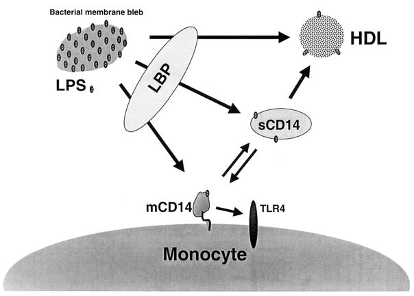 FIG. 9