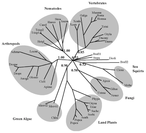 Figure 13