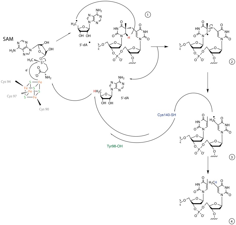 Figure 7.