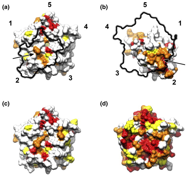 Fig. 4