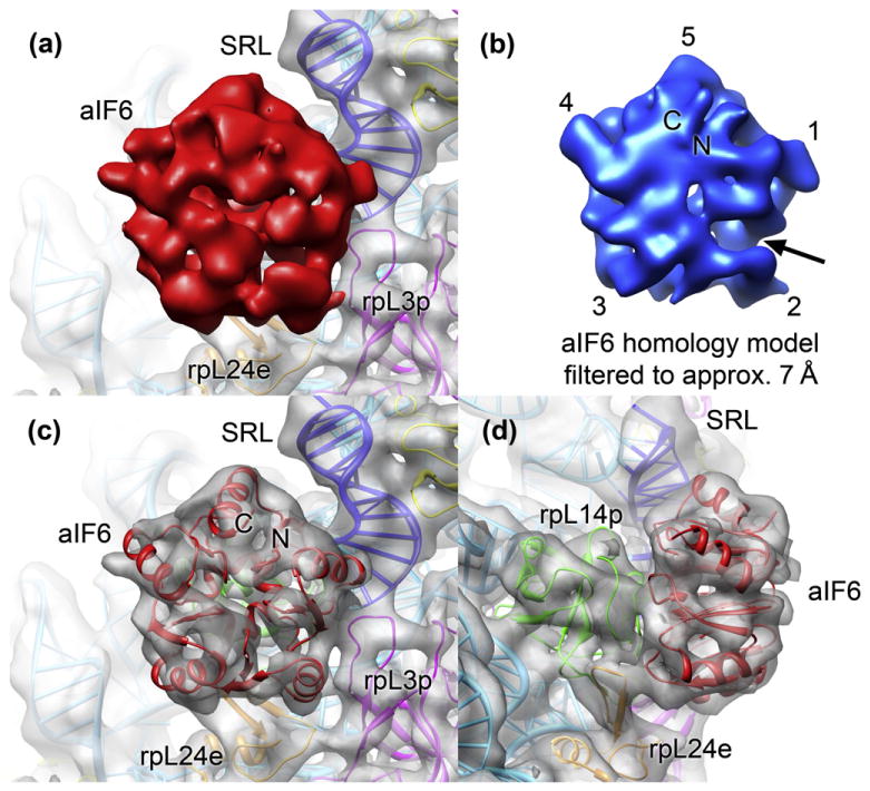 Fig. 3