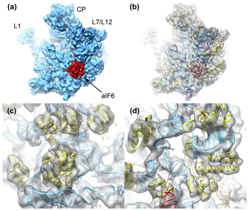 Fig. 2