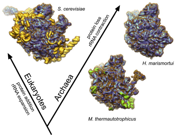 Fig. 7