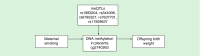 <b>Figure 4.</b>