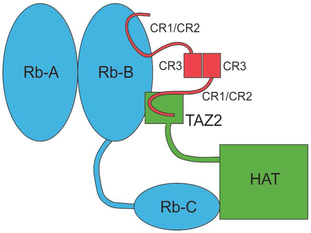 Figure 2.