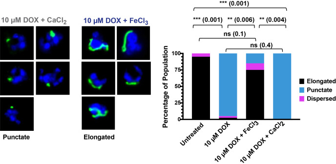 Figure 3—figure supplement 2.