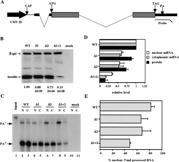 FIGURE 1.