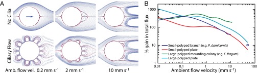 Fig. 5.