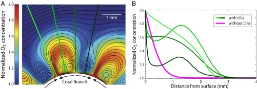 Fig. 4.