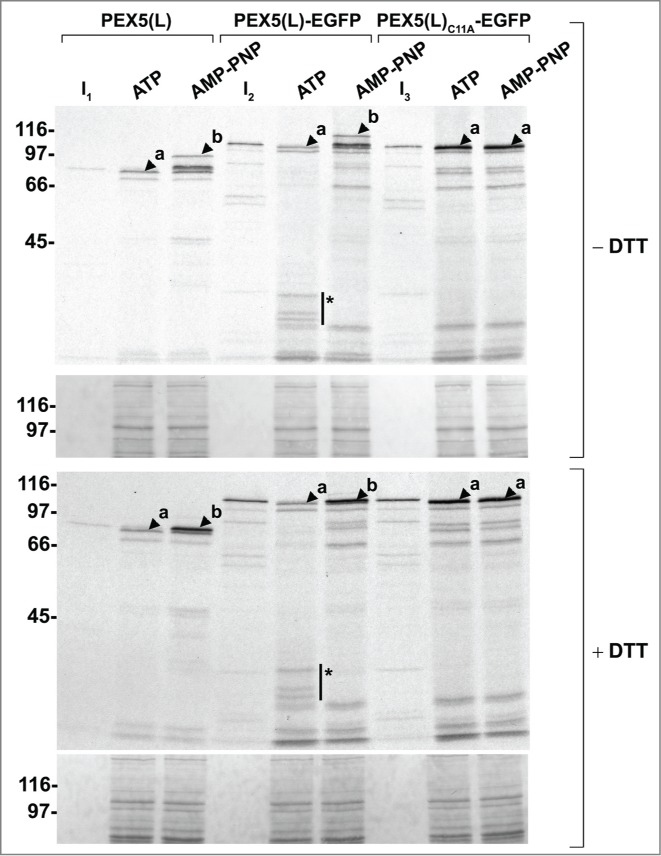 Figure 6.