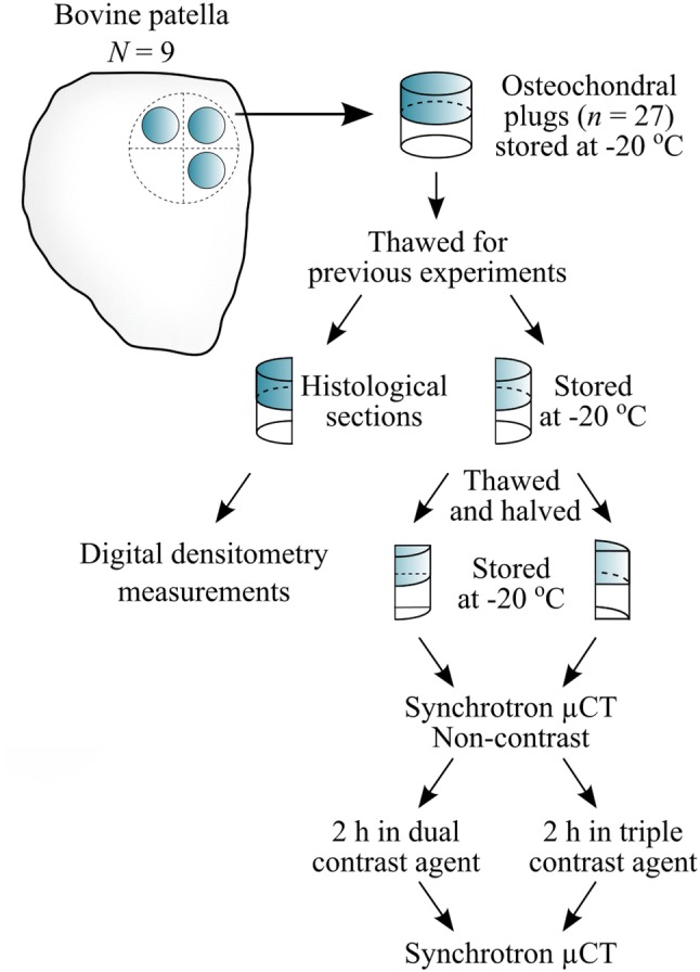 Figure 2