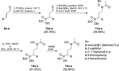 Scheme 1