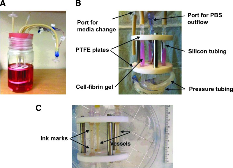 FIG. 1.