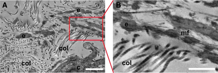 FIG. 5.