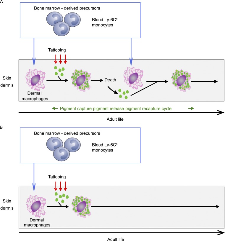 Figure 10.