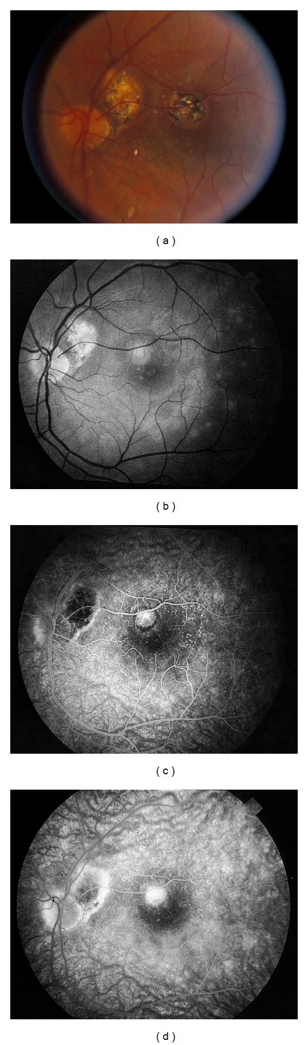 Figure 5