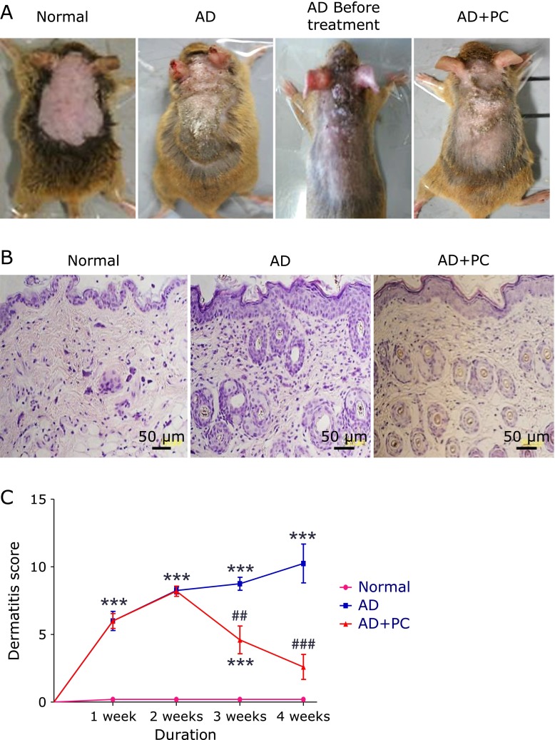 Fig. 3