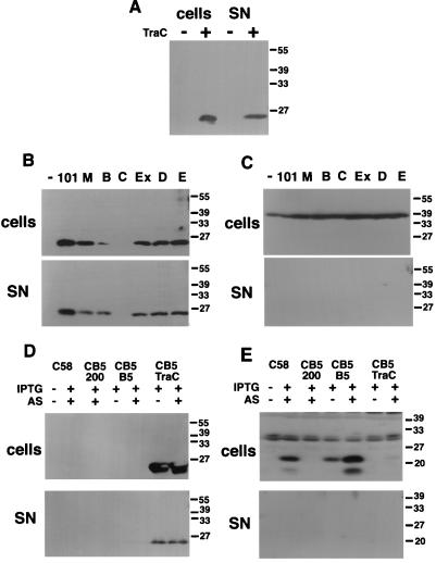 FIG. 8