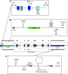 Fig. 1