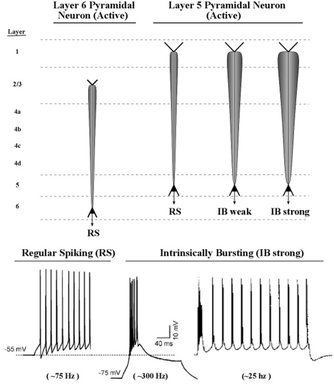 FIGURE 11