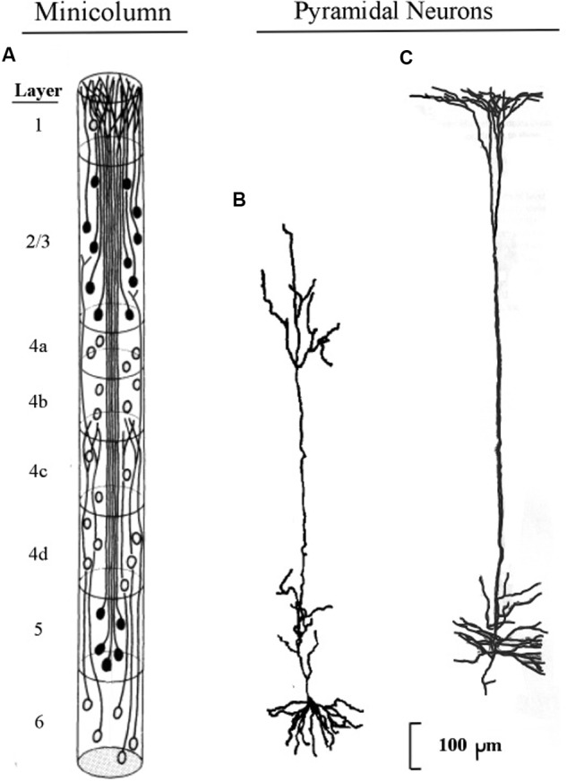 FIGURE 1