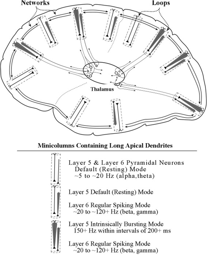 FIGURE 15