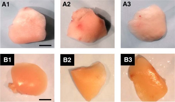 Figure 11.