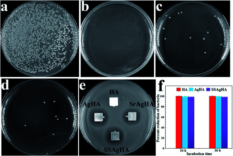 Fig. 10