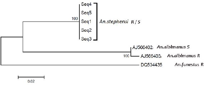 Fig. 11