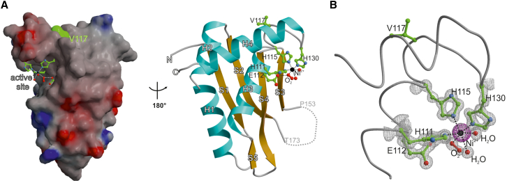 Figure 4