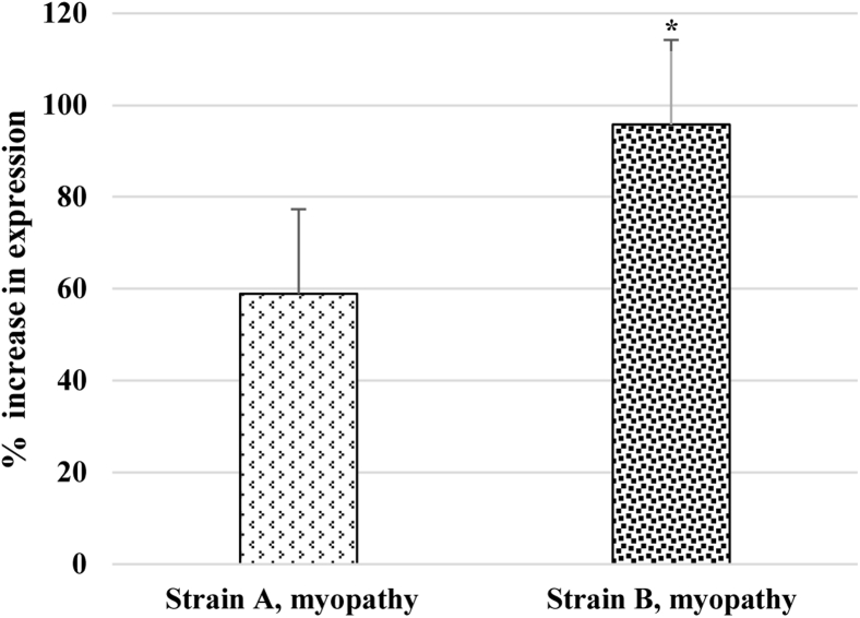 Figure 6