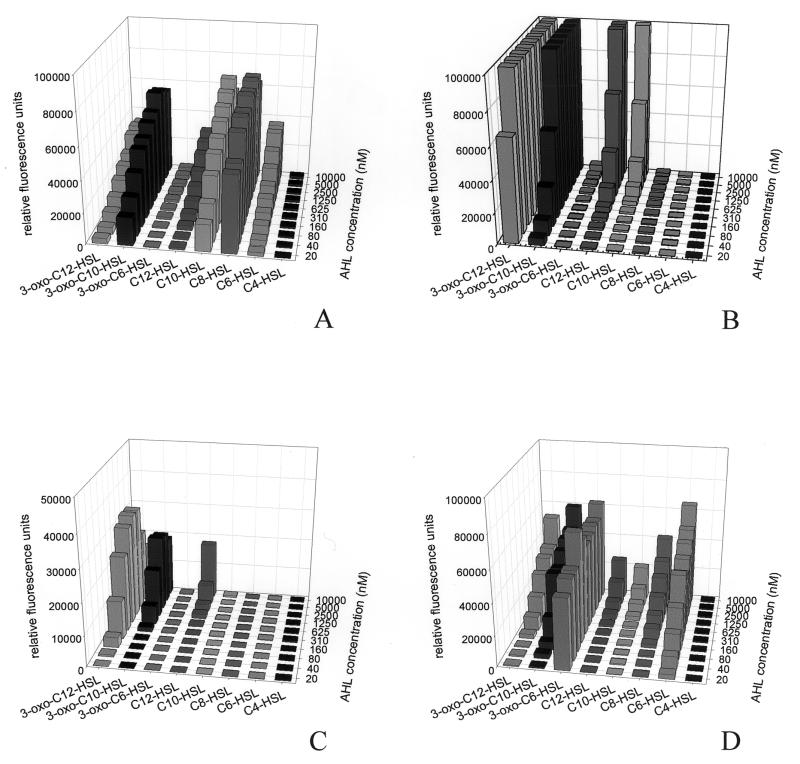 FIG. 1