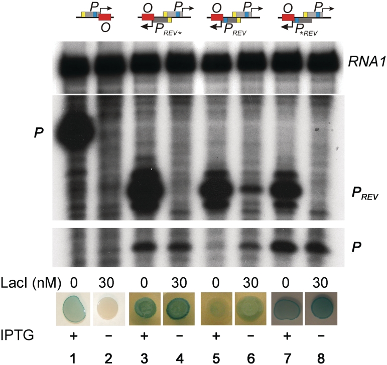 Figure 5.