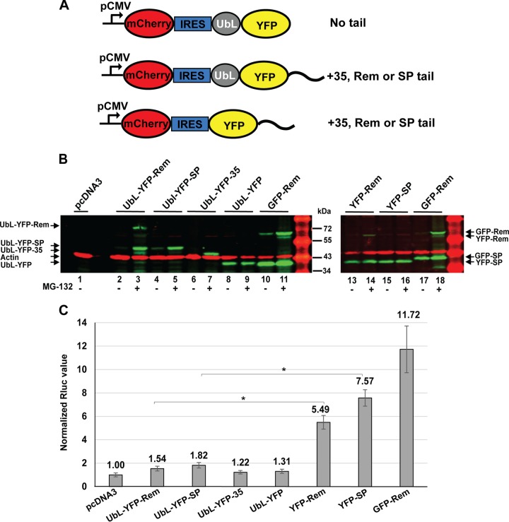 FIG 6 