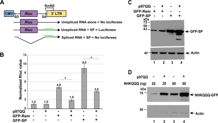 FIG 3 