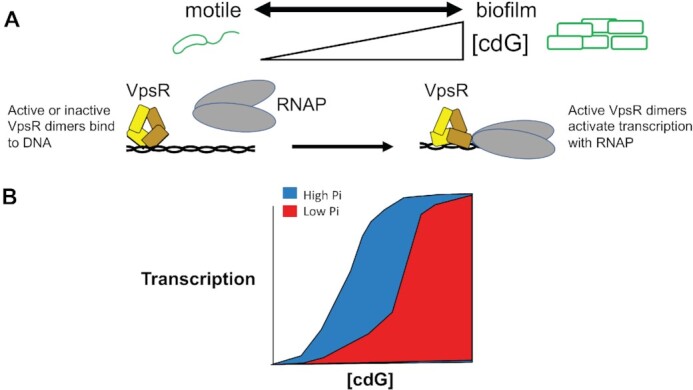 Figure 11.