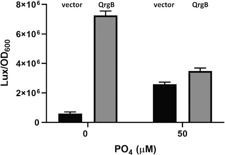 Figure 10.