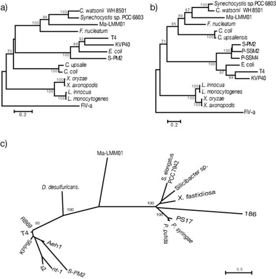 FIG. 6.