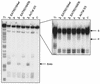 FIG. 5.